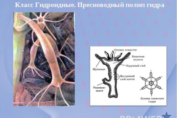 Ссылка официальный сайт кракен