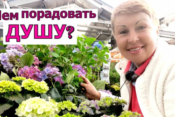 Как восстановить доступ к кракену